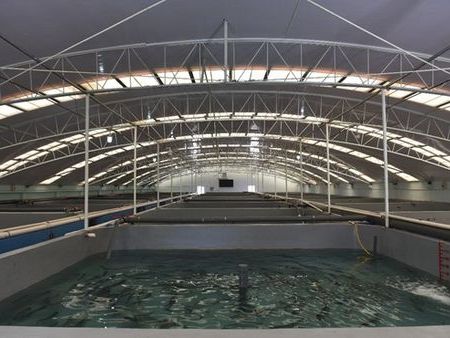 山东省海水健康养殖工程技术研究中心