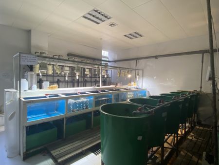 山东省大型海藻资源保护与应用工程技术研究中心