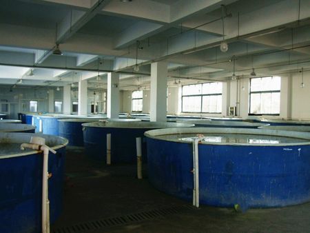 青岛市浅海底栖渔业增殖重点实验室